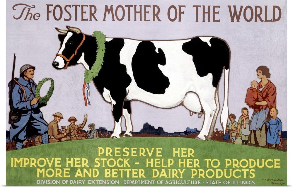 Vintage poster that highlights a cow with people standing around her and about to crown her. The poster calls for care of ...