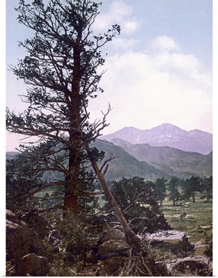 Longs Peak near Estes Park1898