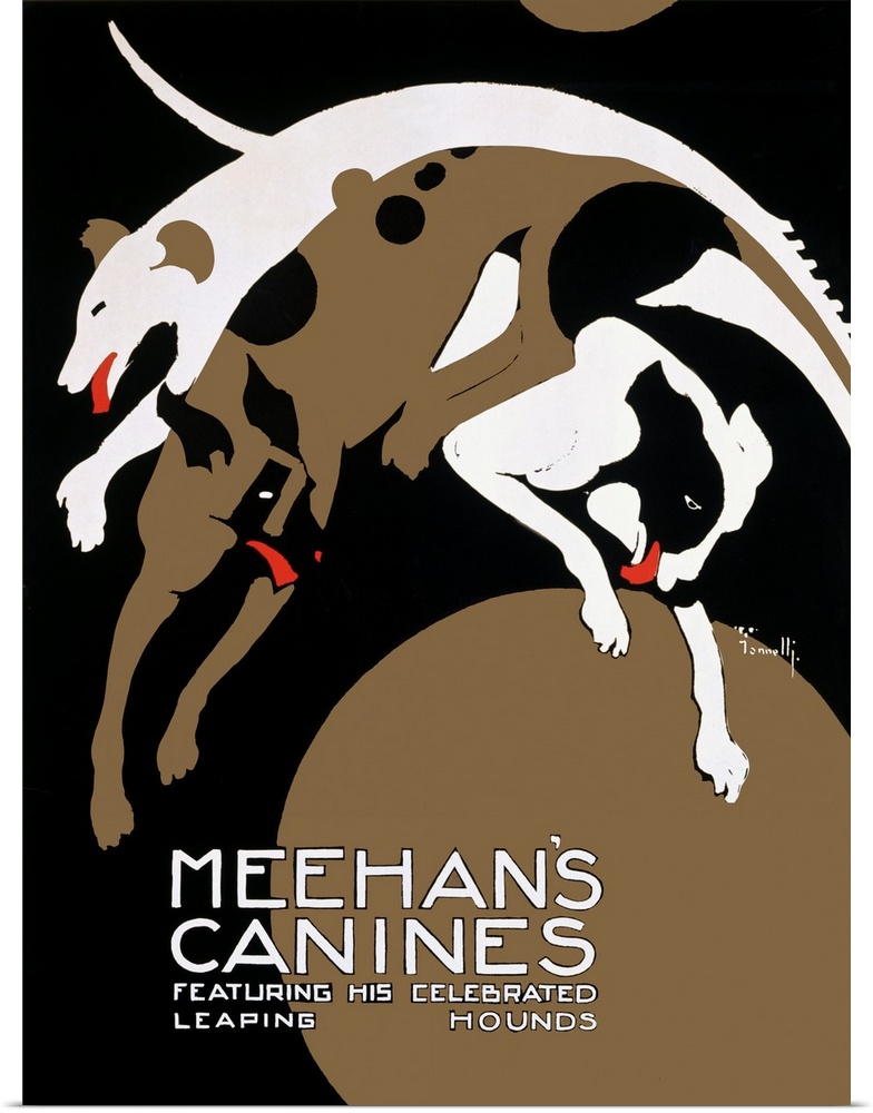 Oversized, vertical vintage advertisement for circus dogs, Meehans Canines, of three illustrated dogs jumping in different...