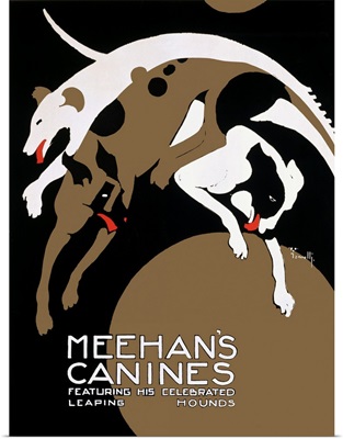 Meehans Canines, Hound Circus Dogs, Vintage Poster, by Alfonso Iannelli
