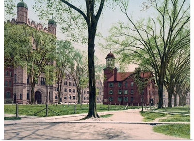 Phelps Hall and Lyceum Yale College Connecticut Vintage Photograph