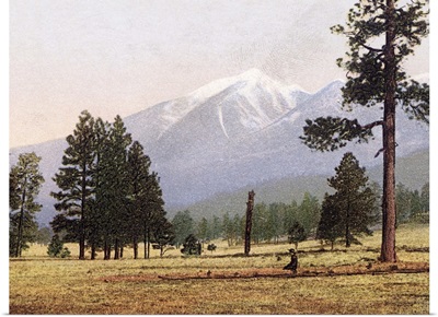 The San Francisco Mountains near Flagstaff Arizona Vintage Photograph