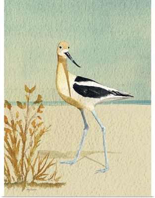 Avocet By The Sea