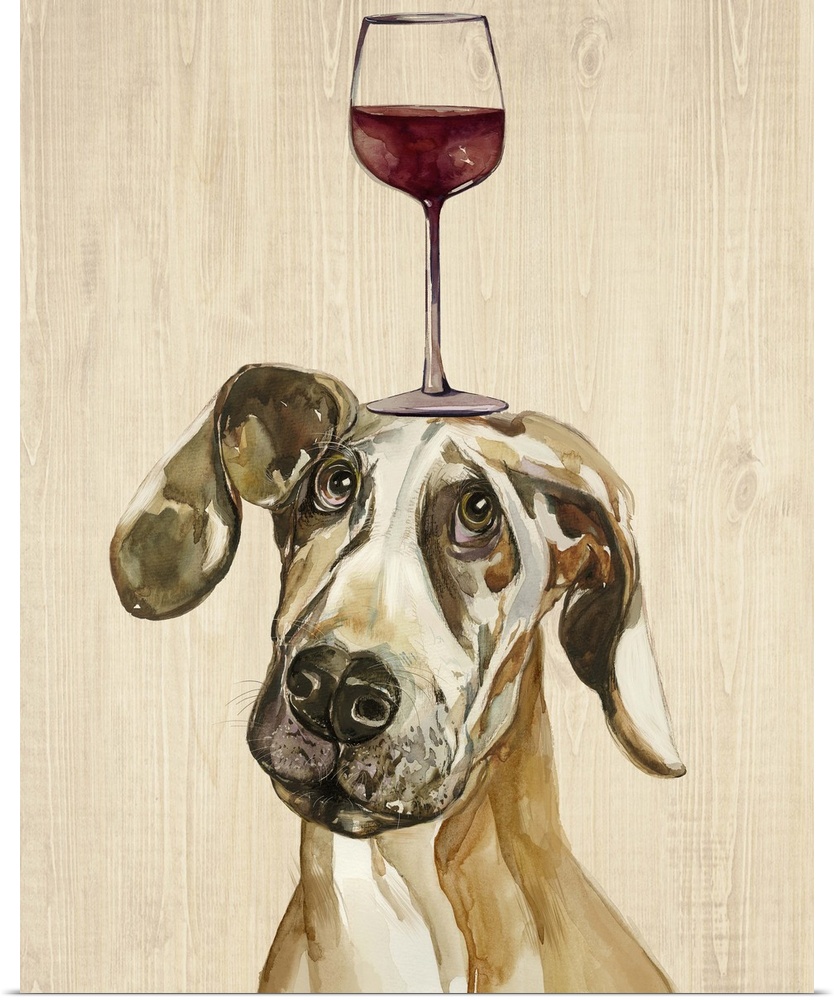 A Great Dane balancing a glass of wine on its head.