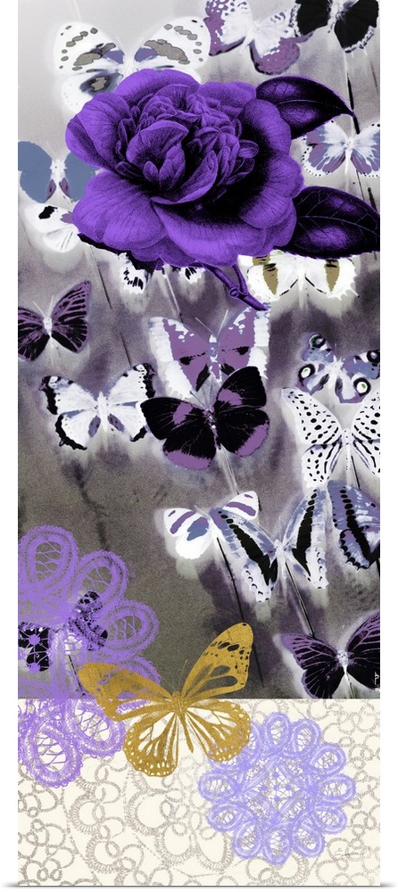 Butterfly Showers II
