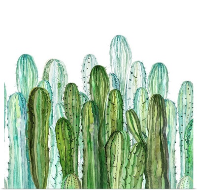 Delightful Cactus Garden II