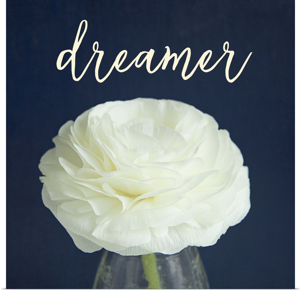 A white flower in a glass vase with the word "dreamer" above it.