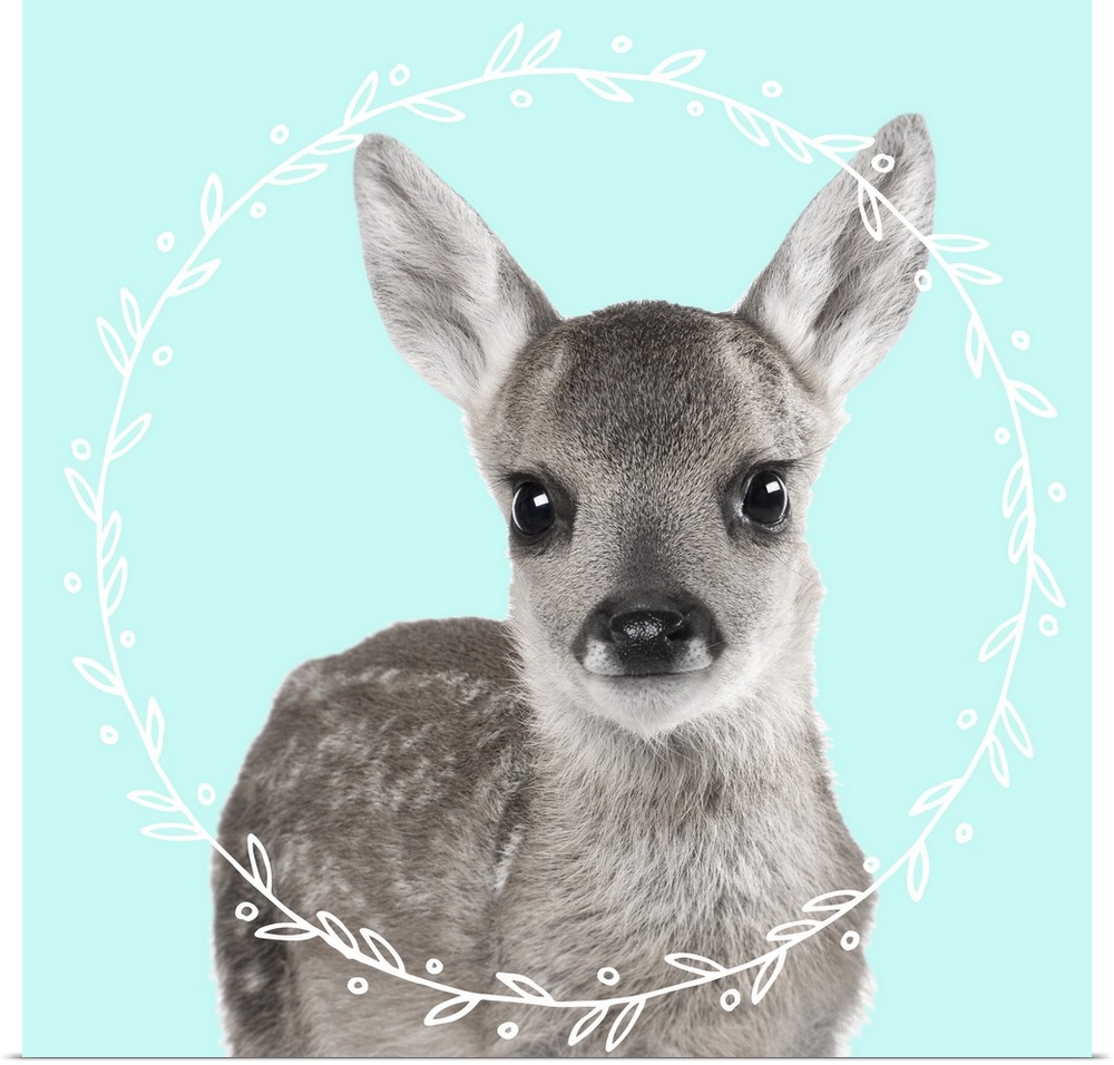 Black and white photograph of a fawn on the middle of a light blue background with an illustrated white, leafy wreath.