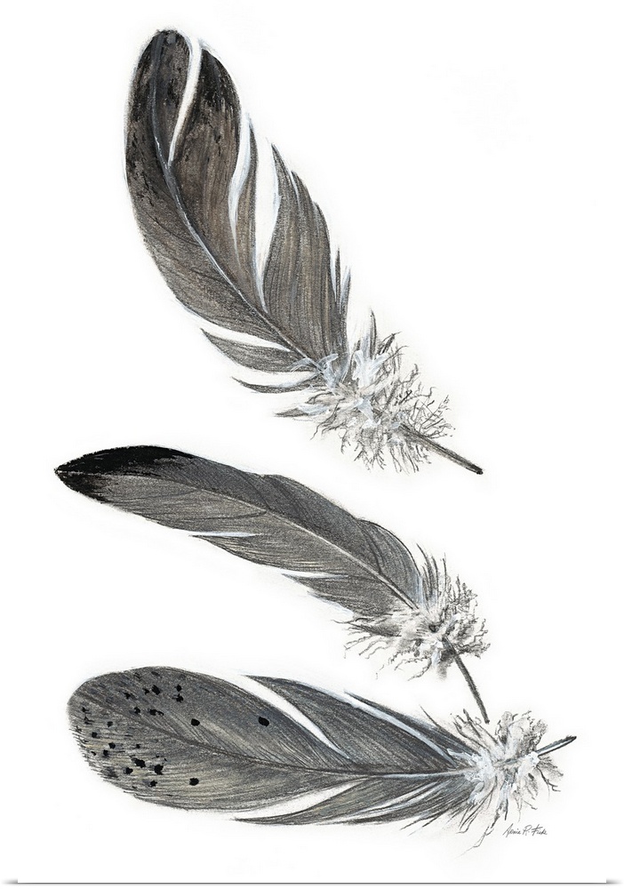 Contemporary illustration of three patterned feathers on white.