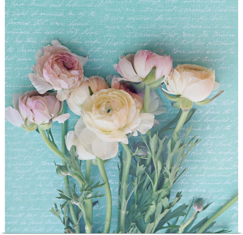 Square photograph of pink and white peonies with long, leafy stems laying on a light blue background with faint white scri...