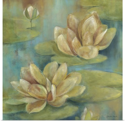 Lily Pond II