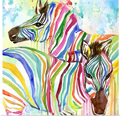 Multicolor Zebras