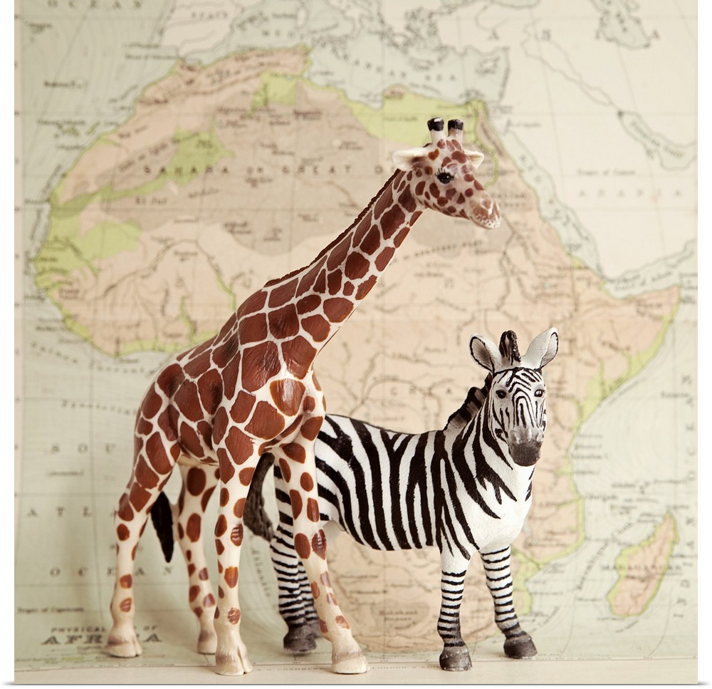 A toy giraffe and zebra with a vintage map backdrop.