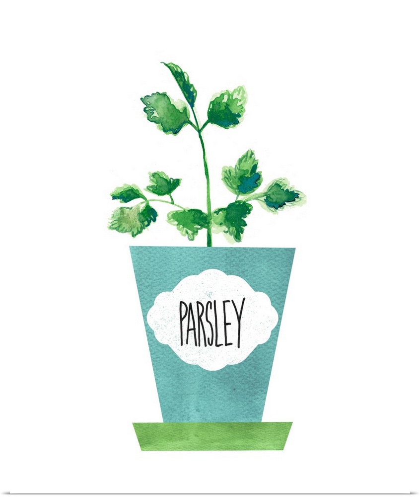Painting of a potted parsley plant on a solid white background with a label on the blue pot.