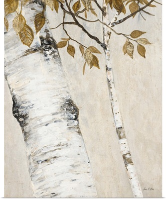 Rustic Birch
