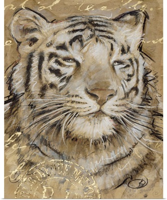 Safari Tiger
