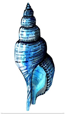 Sea Blue Shell