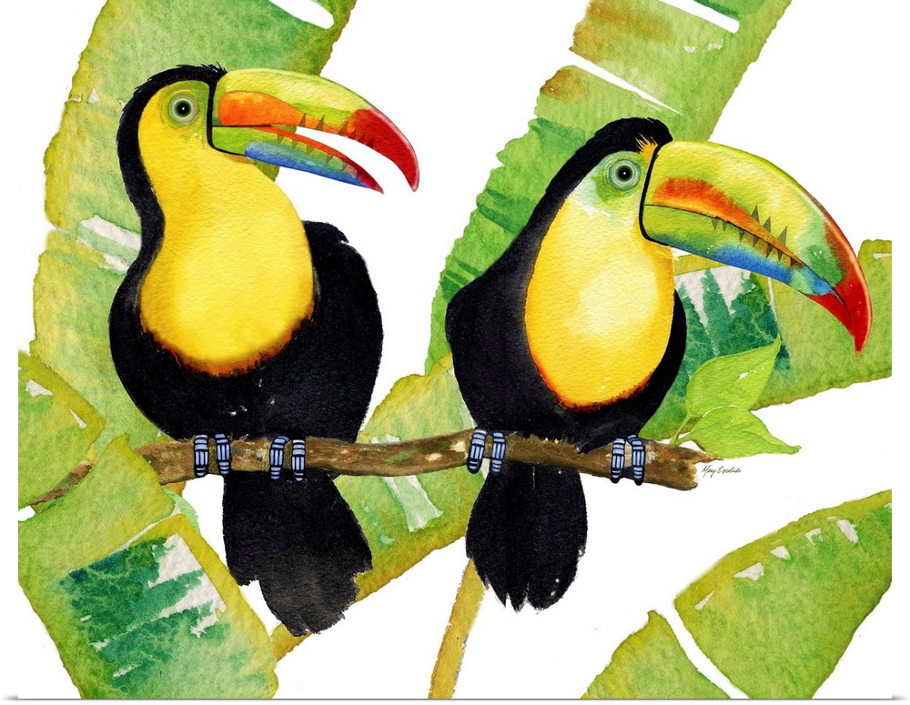 Two keel-billed toucans with large palm leaves.
