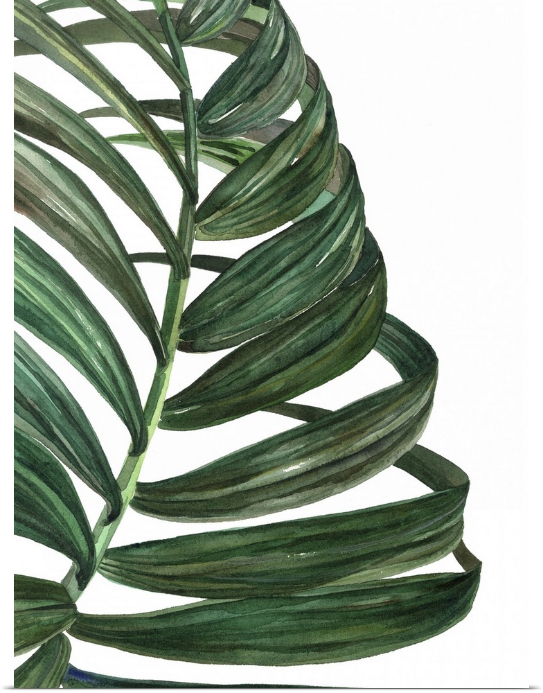 Mod art of a deep green palm leaf on white.