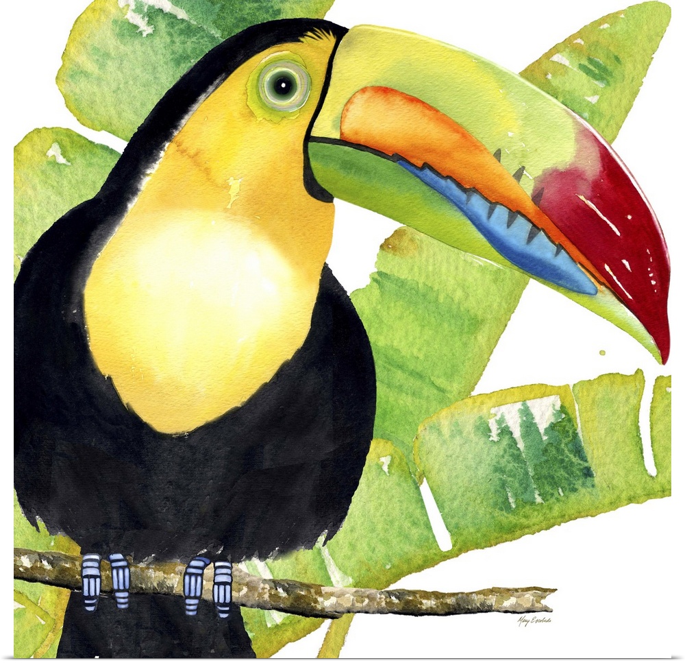 Painting of a keel-billed toucan with tropical palm leaves.