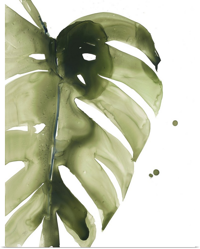 Watercolor painting of a muted green tropical leaf on white.