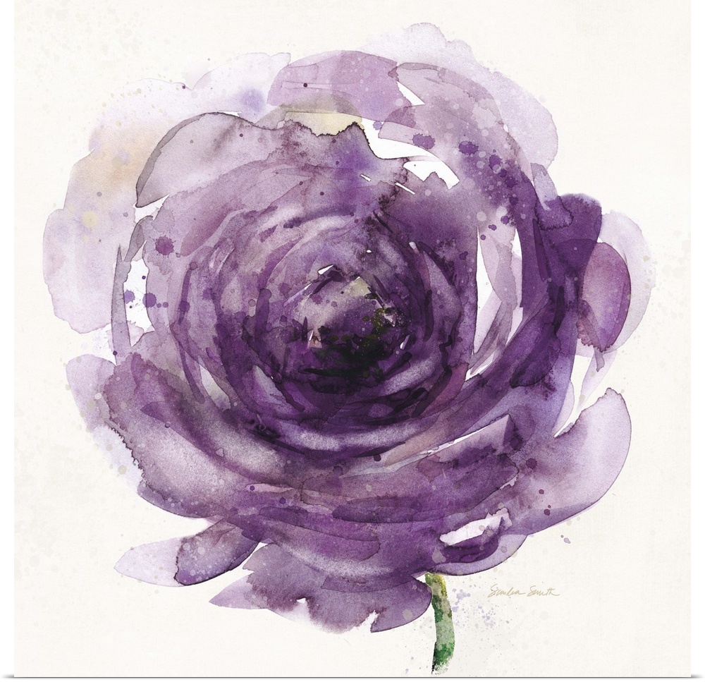Watercolor painting of a bright purple flower.