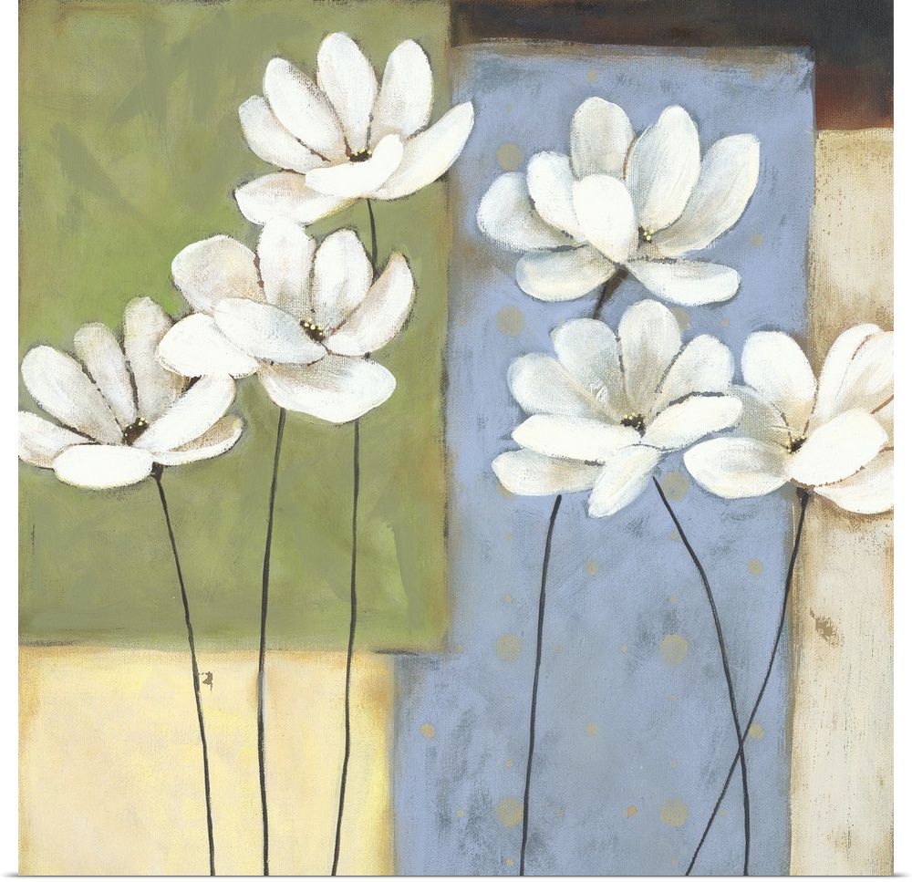 White flowers on thin black stems on a colorful background of rectangular shapes.