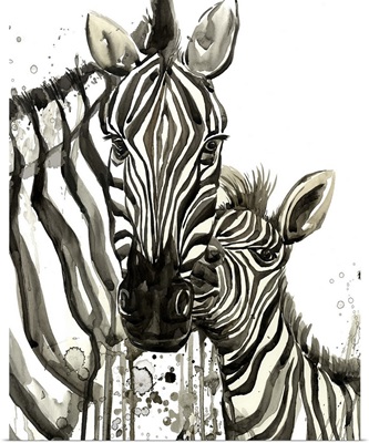 Zebra Cuddles