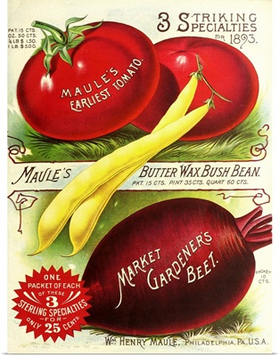 1893 Maule Tomatoes