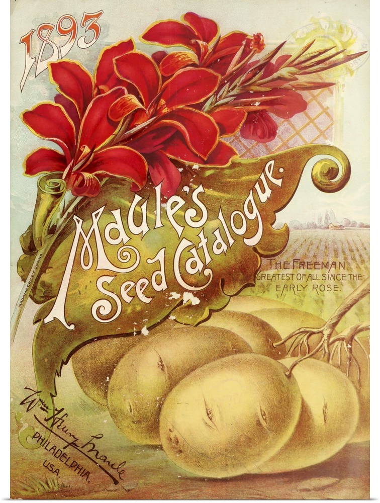 Vintage poster advertisement for 1893 Maule's Seed.