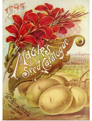 1893 Maule's Seed