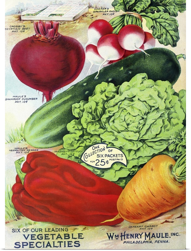 Vintage poster advertisement for 1915 Maule Seed Veggies.