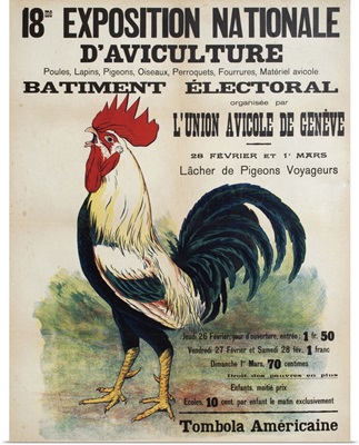 Agriculture Exposition