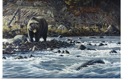 Along The Yellowstone - Grizzly
