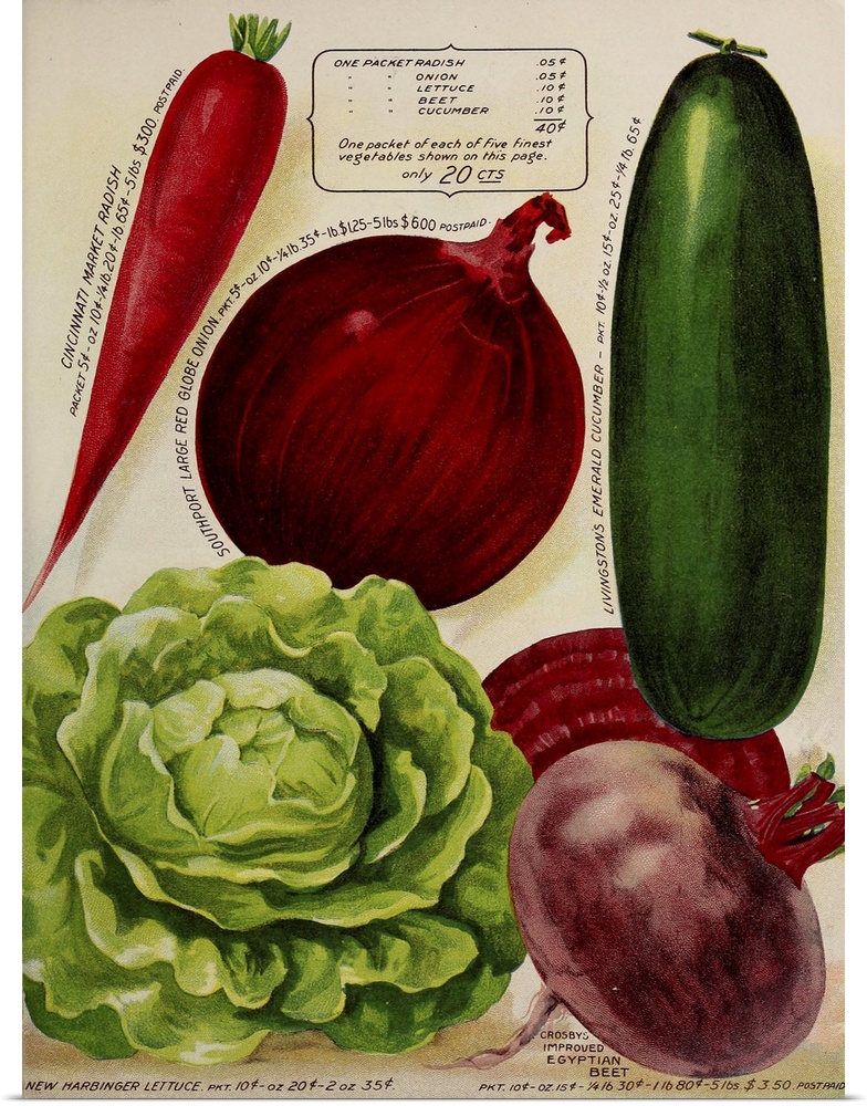 Vintage poster advertisement for Annual Of True Blue Veggies.