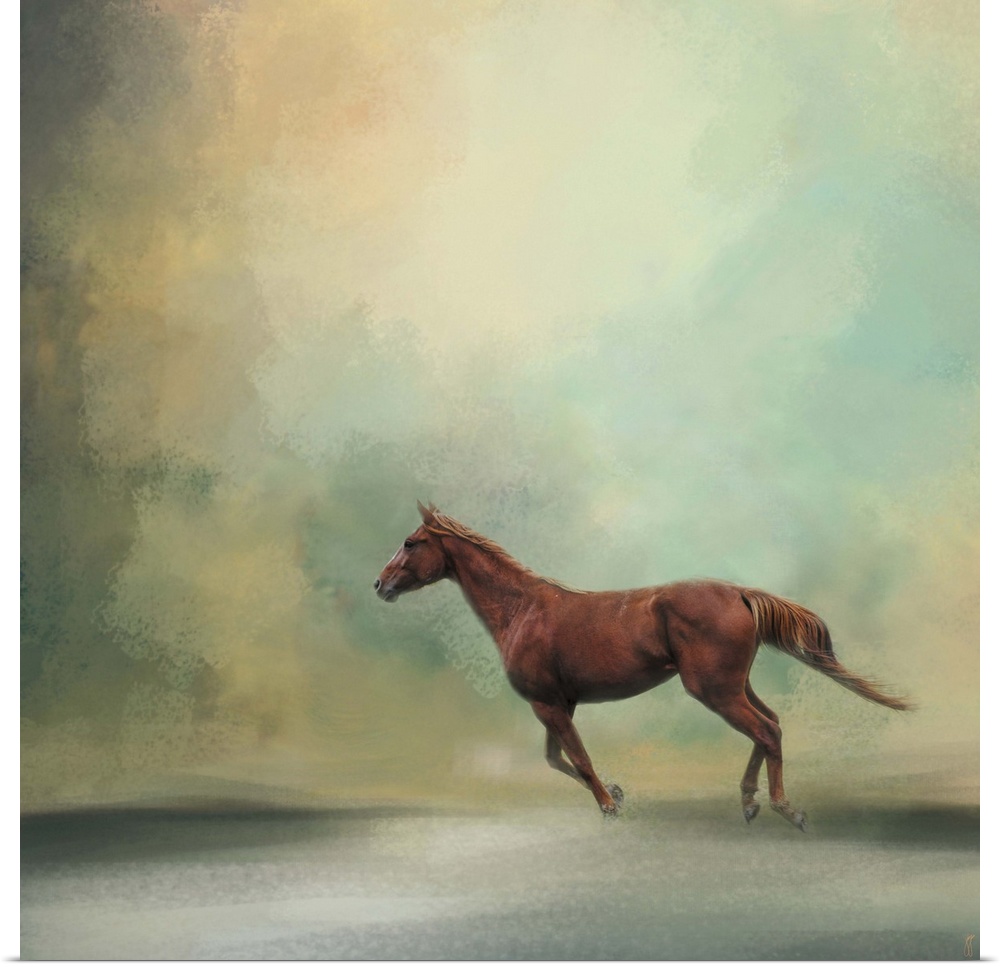 A fine art photo of a brown horse galloping.