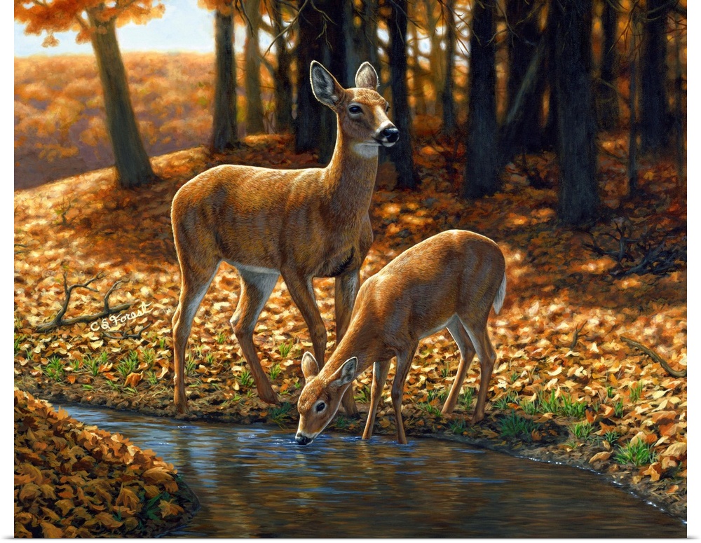 Two Deer by a stream