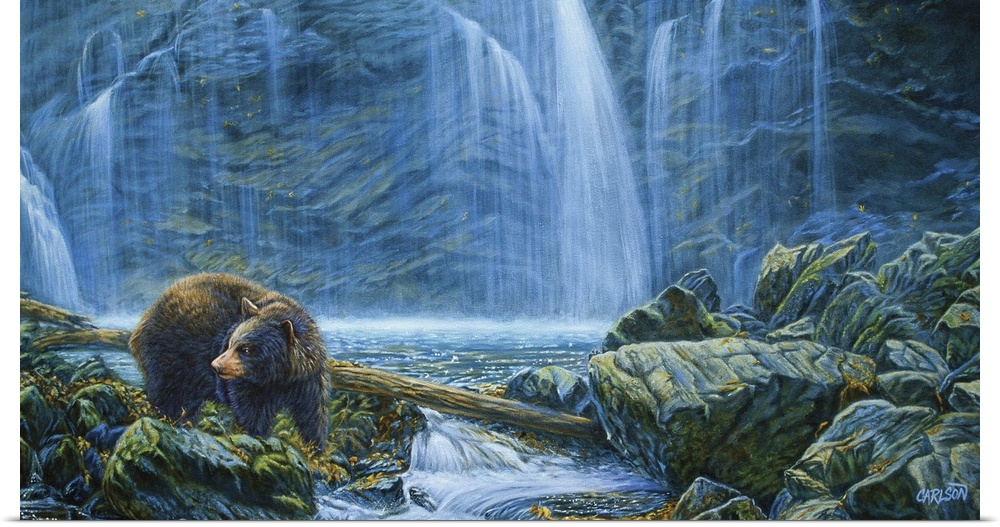 brown bear fishing in stream