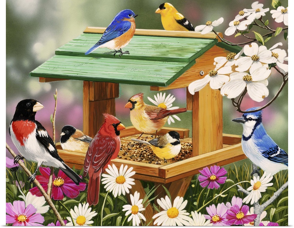 Backyard Birds Spring Feast