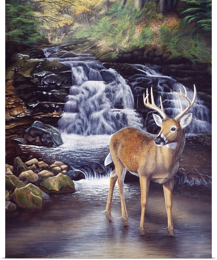 Contemporary painting of a stag standing in a shallow river with a waterfall behind.