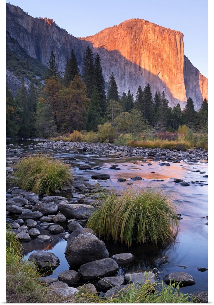 Warm sunlight hitting El Capitan at dusk over the River Merced in Yosemite.