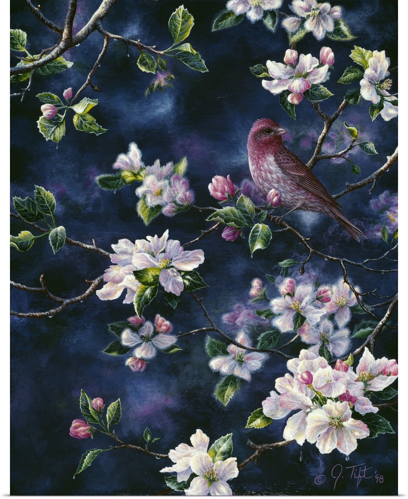 a red bird perched among branches of a tree with pink, floral blossoms