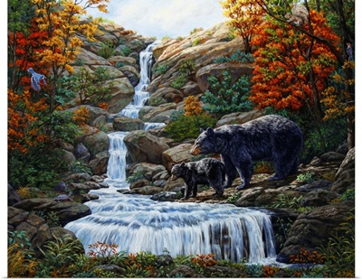 Black Bear Falls