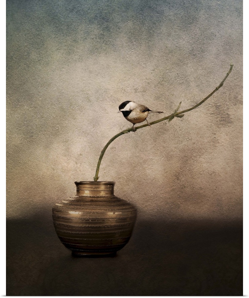 A Black-capped Chickadee perched on a twig in a vase.