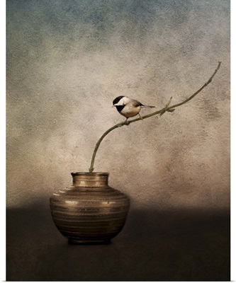 Black Capped Chickadee On A Vase