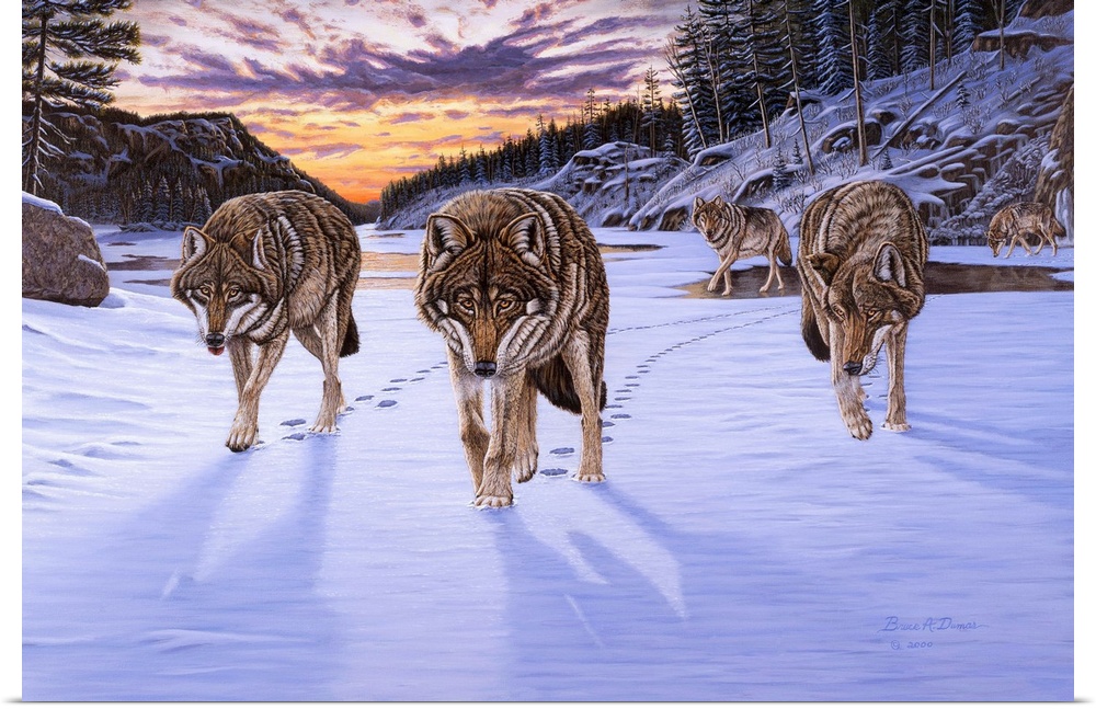 Contemporary artwork of a pack of wolves in wintry scene at sunset.