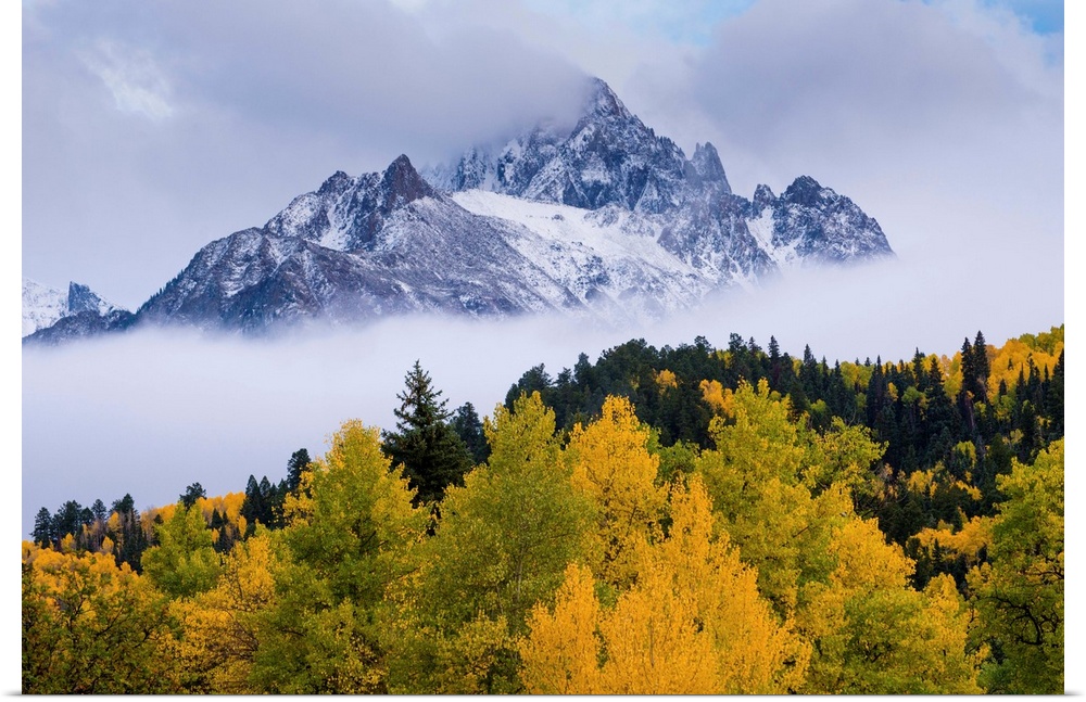 mountains, trees, mist, color photograph