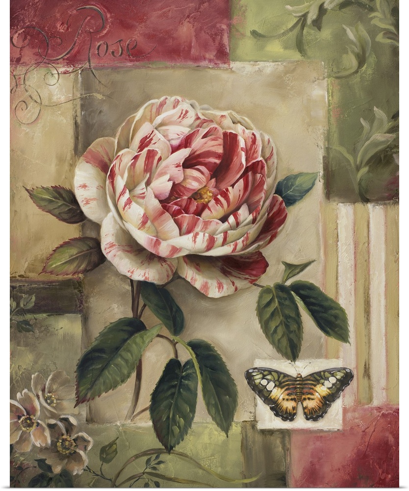 rose and butterfly