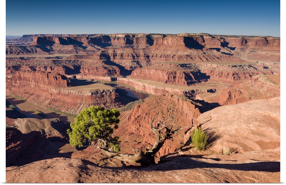 A photograph of a red desert landscape.