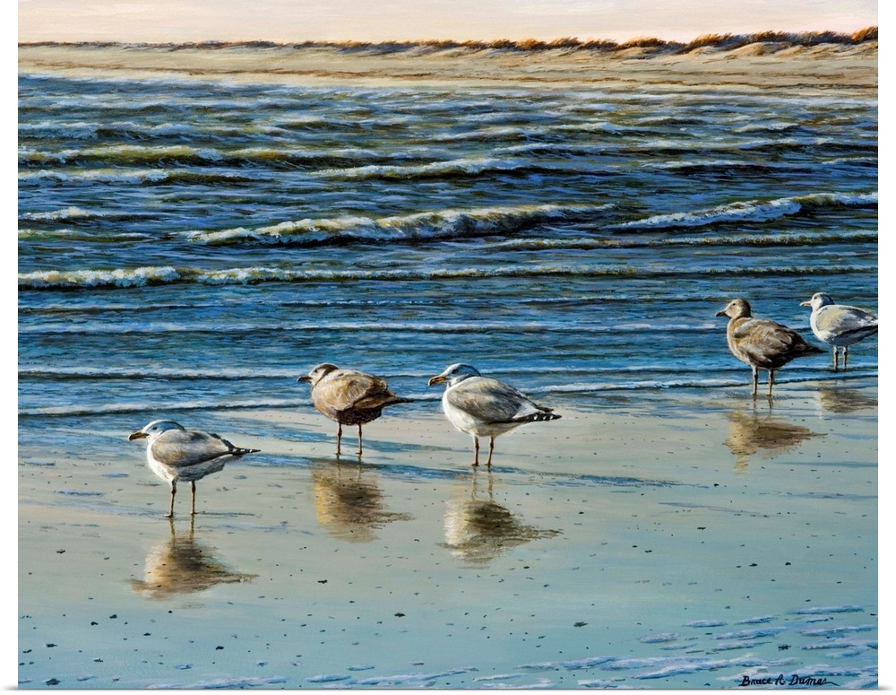 Contemporary artwork of Herring Gulls by the water.